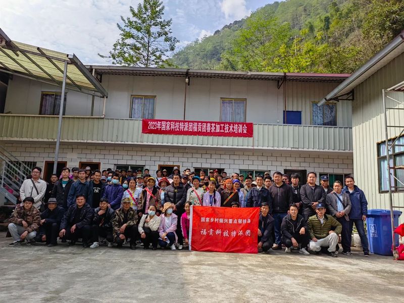 有关于怒江福贡：国家科技特派团专家组下沉一线 服务茶产业发展的资讯(2)