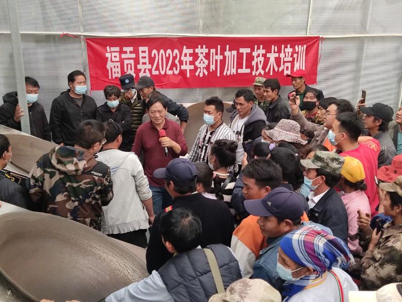 有关于怒江福贡：国家科技特派团专家组下沉一线 服务茶产业发展的资讯