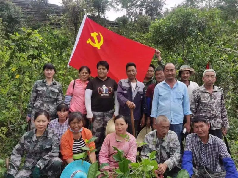 关于同心镇那柯里村：盘活百亩“放养”茶园 助力村级集体经济增收的相关内容(8)