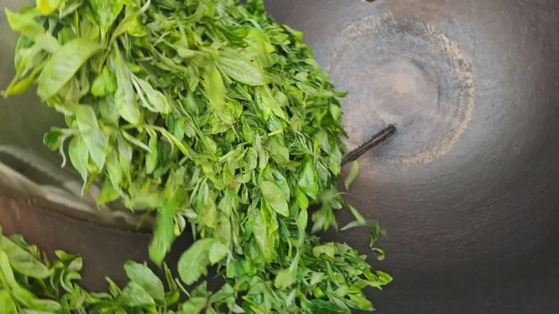 关于同心镇那柯里村：盘活百亩“放养”茶园 助力村级集体经济增收的相关内容(4)