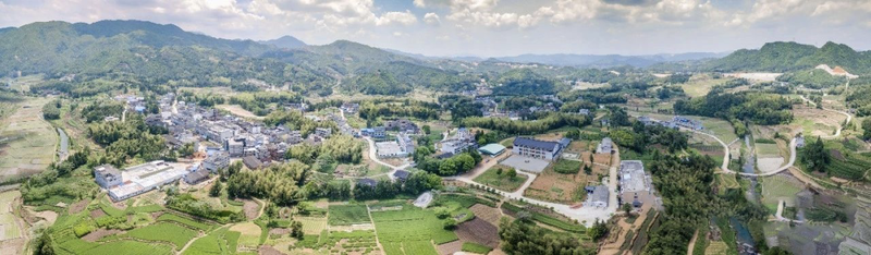 有关于西昆：“儒茶”融合，富民兴村的内容(1)