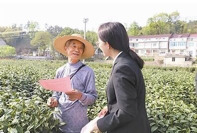 有关于安徽省舒城县 普法宣传进茶山的消息(1)