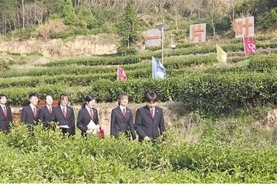 有关于安徽省舒城县 普法宣传进茶山的消息