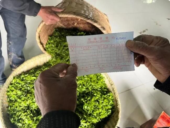 有关于贵州：数字货运畅出路 千年苔茶焕新机的新闻(1)