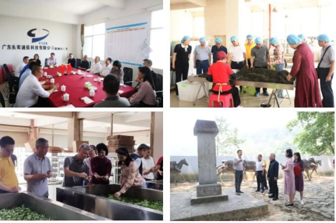 有关于清远市人大常委会考察组到普洱茶原产区调研茶产业高质量发展经验做法的相关内容(1)