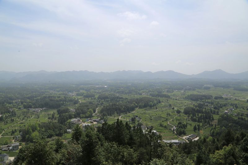 关于第十五届贵州茶产业博览会凤冈活动之“东有龙井·西有凤冈”品牌推介暨凤冈锌硒茶代表产品“凤头羽”品鉴会成功举办的消息(3)