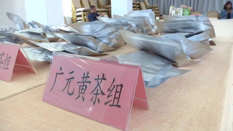 有关于首届“广元好茶”评选活动暨第三届广元黄茶斗茶大赛成功举行的相关内容(2)