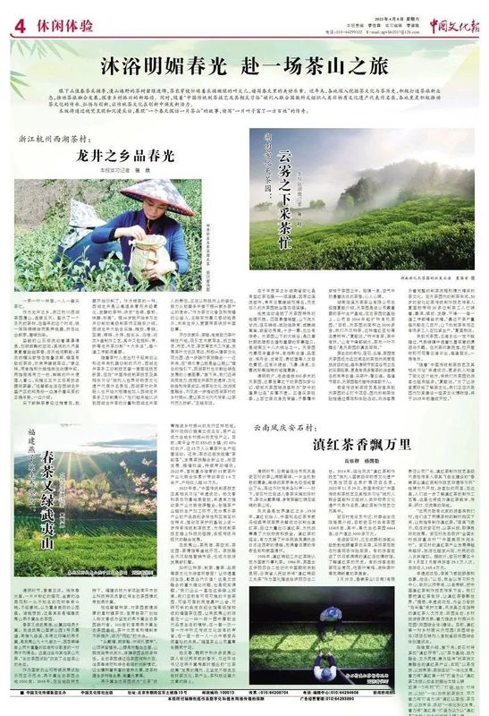 关于福建燕子窠生态茶园：春茶又绿武夷山的消息