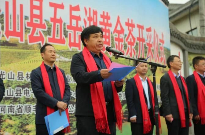 有关于2023年光山县黄金茶正式开采的新闻(5)