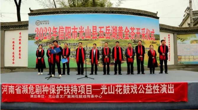 有关于2023年光山县黄金茶正式开采的新闻(2)