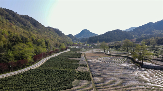 关于2023安徽潜山茶旅文化节暨第二届天柱剑毫斗茶赛成功举办的消息(13)