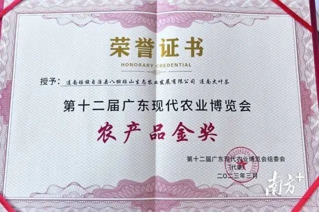 关于八排瑶山：春日采茶忙，每年带动茶农增收500万元的内容(3)