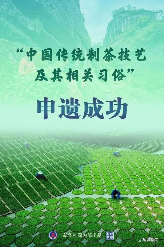 有关于都匀毛尖获2022中国地理标志农产品（茶叶）品牌声誉百强榜TOP4的最新消息(6)