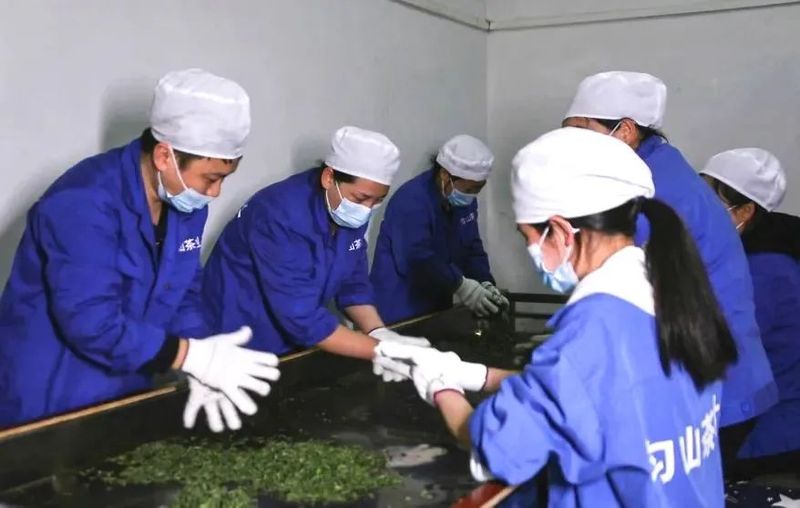 有关于都匀毛尖获2022中国地理标志农产品（茶叶）品牌声誉百强榜TOP4的最新消息(10)