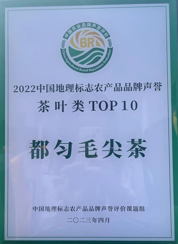 有关于都匀毛尖获2022中国地理标志农产品（茶叶）品牌声誉百强榜TOP4的最新消息(2)