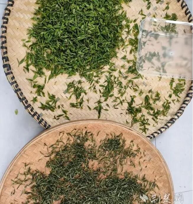 关于阳新茶叶种植面积已达6.2万亩的新闻(2)