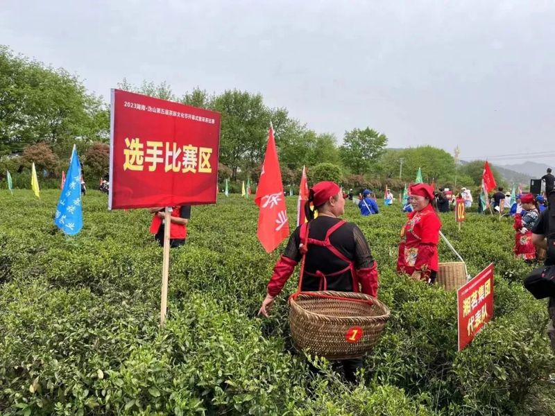 有关于茶香醉人!长沙宁乡沩山启动第五届茶旅文化节的相关内容(1)