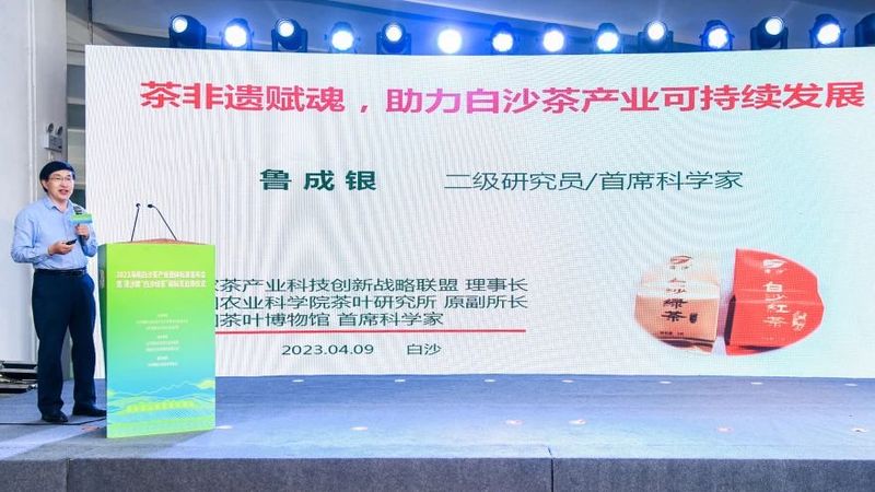 有关于茶产业“碳经济”红利，海南白沙抓牢了！的资讯(9)