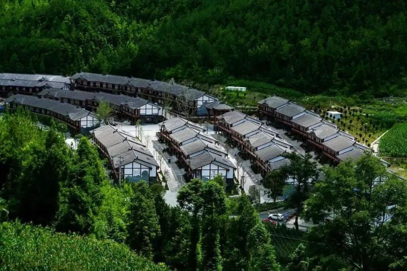 关于达州万源:茶旅融合绘就美丽乡村的新闻(3)