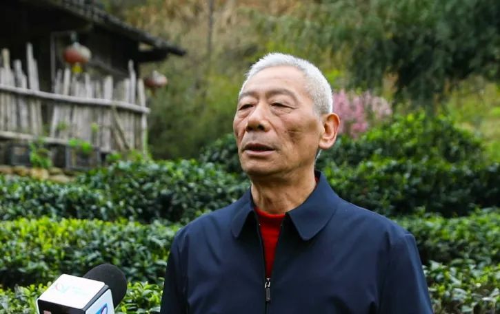 关于都匀：26万亩春茶全面开采的最新消息(3)