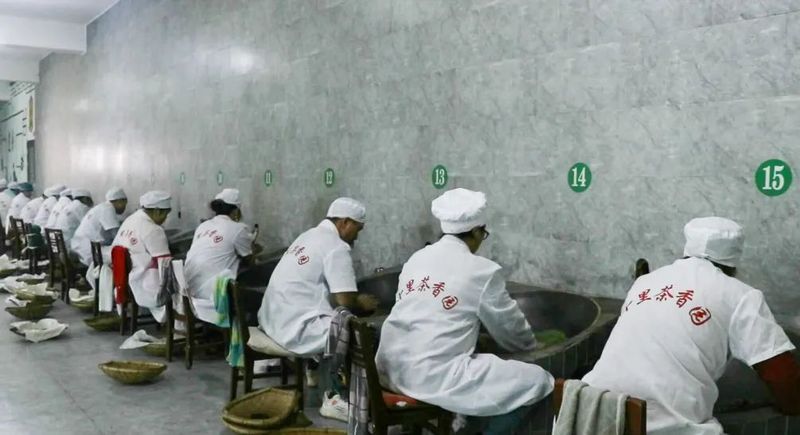 关于都匀：26万亩春茶全面开采的最新消息(6)