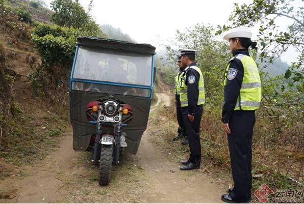 有关于又到春茶飘香时 采茶莫忘安全路的相关内容(2)