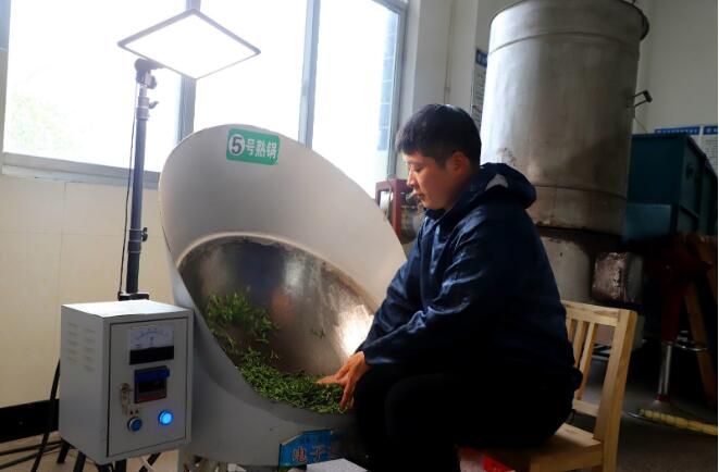 关于信阳商城县：高山春茶采制忙的资讯(2)