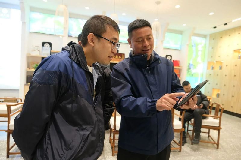 有关于春茶中国行③“柘”里茶树长得“野”，白茶品质居然这么好？！的信息(10)