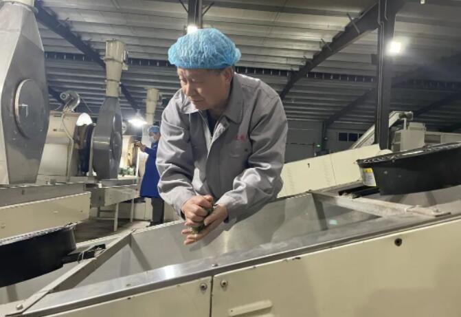 有关于安徽黄山：茶产业助力乡村振兴的内容(2)