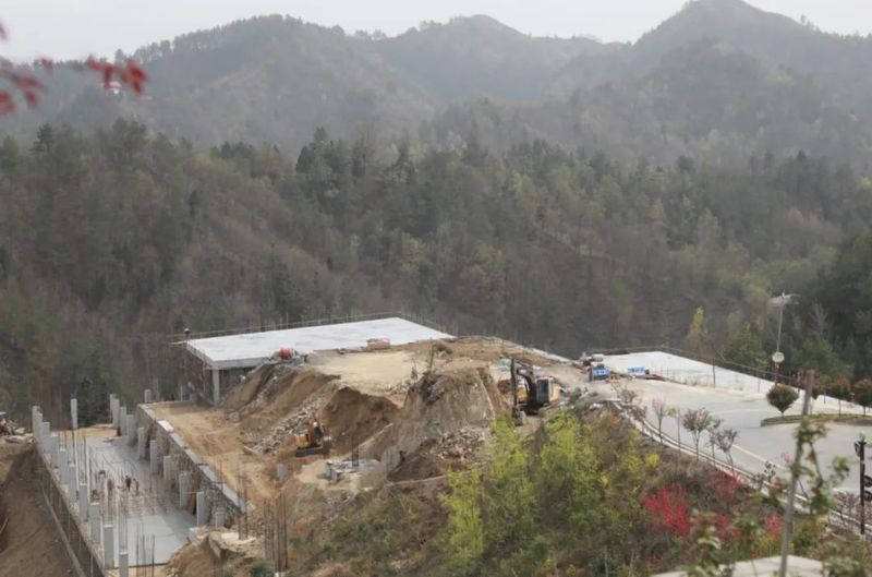 有关于商南茶叶陆续上市 茶旅融合发展助力乡村振兴的新闻(1)