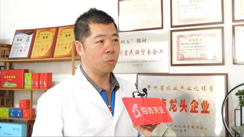 有关于丹寨茶园层层浪 春茶开采茶农忙的新闻(7)