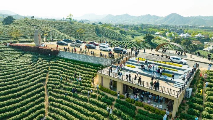 关于二十年了,今天回首再掂这片叶子的重量的信息(7)