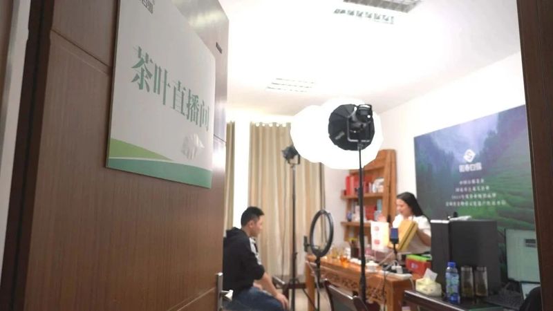 有关于小茶叶闯四方 绿山乡富万家的新闻(5)