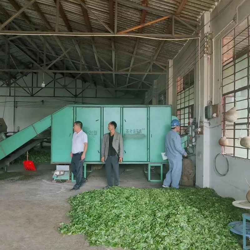 关于万亩茶园里“变”出一个“铁巨人”，它的作用是……的最新消息(9)