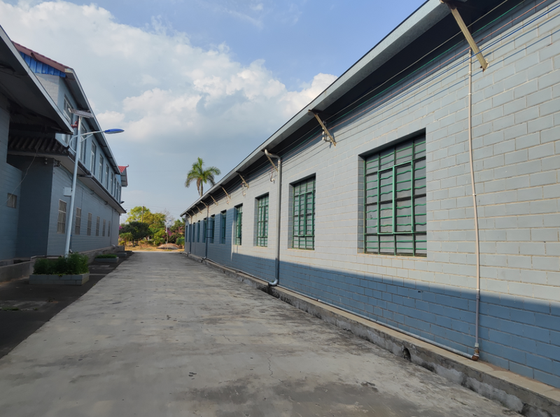 关于万亩茶园里“变”出一个“铁巨人”，它的作用是……的最新消息(7)