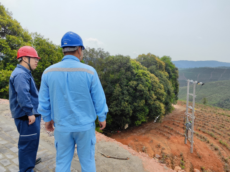 关于万亩茶园里“变”出一个“铁巨人”，它的作用是……的最新消息(4)