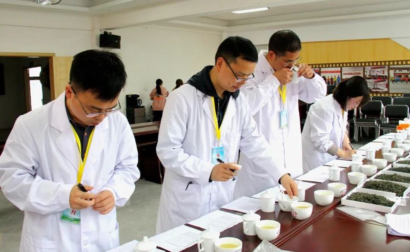 关于宜宾市茶产业职工职业技能大赛在高县举行的资讯(8)