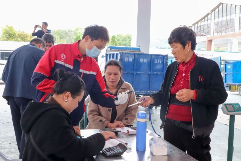 有关于看过来！新茶青交易市场正式揭牌开市！的消息(5)