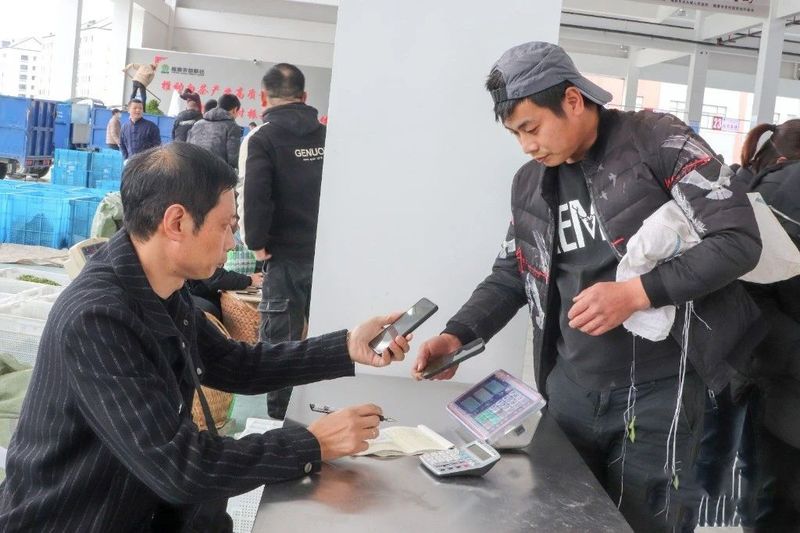 有关于看过来！新茶青交易市场正式揭牌开市！的消息(4)