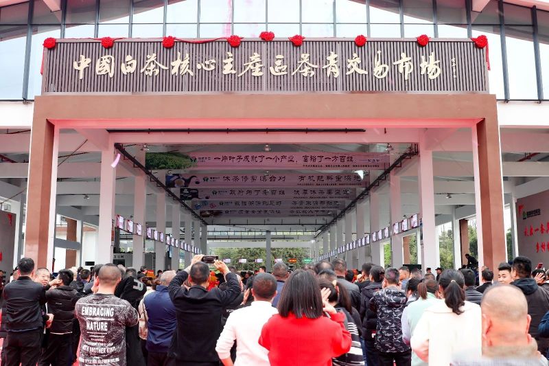 有关于看过来！新茶青交易市场正式揭牌开市！的消息
