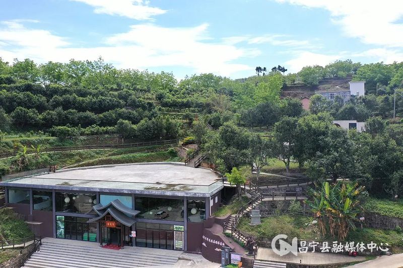 关于昌宁：以茶促旅 以旅带茶 “茶旅融合”为幸福加码的最新消息
