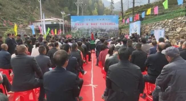 有关于镇安县第二届“象园茶”开采节在象园村举行的内容