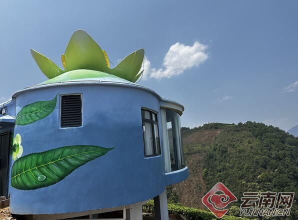 有关于绿春马鹿塘新村：茶产业带来新气象的新闻(6)