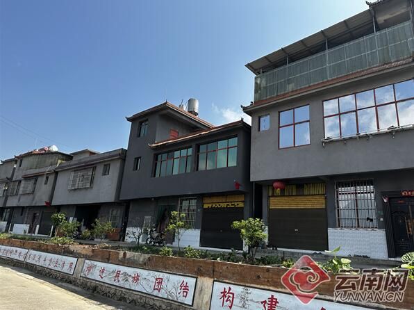 有关于绿春马鹿塘新村：茶产业带来新气象的新闻(1)