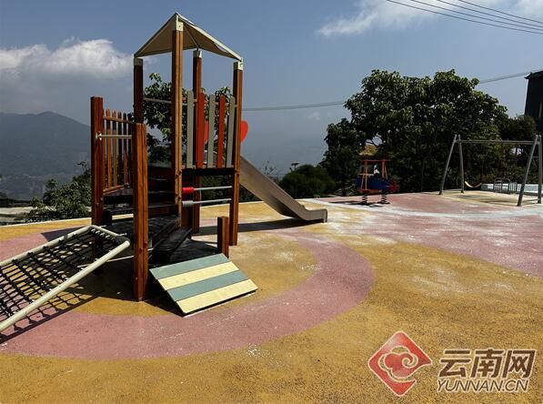 有关于绿春马鹿塘新村：茶产业带来新气象的新闻(2)