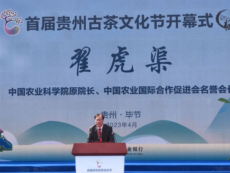 关于首届贵州古茶文化节今日在毕节市七星关区开幕，翟虎渠会长出席并致辞的信息(1)