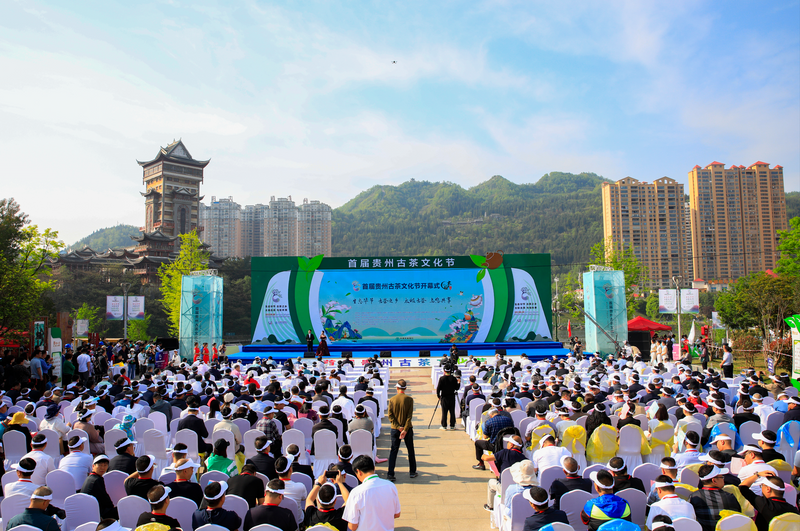 关于首届贵州古茶文化节今日在毕节市七星关区开幕，翟虎渠会长出席并致辞的信息