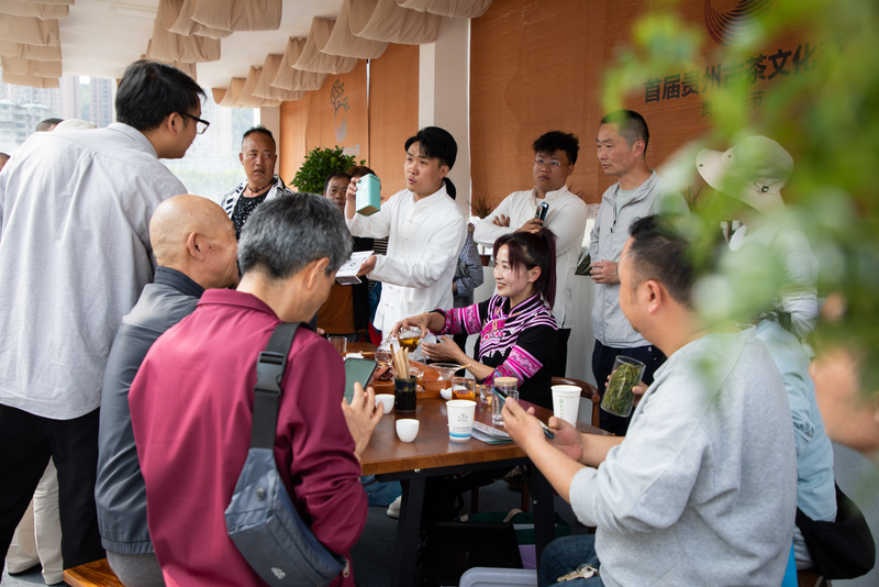 关于首届贵州古茶文化节今日在毕节市七星关区开幕，翟虎渠会长出席并致辞的信息(10)