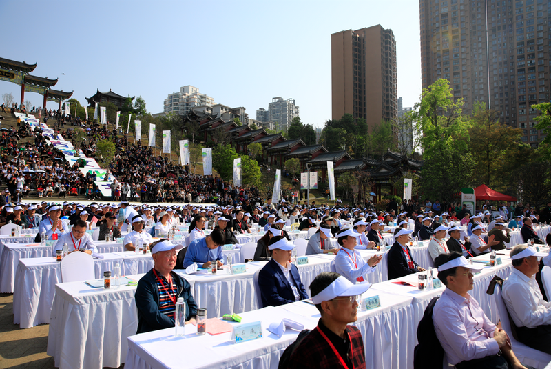 关于首届贵州古茶文化节今日在毕节市七星关区开幕，翟虎渠会长出席并致辞的信息(2)