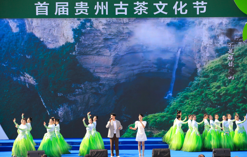 关于首届贵州古茶文化节今日在毕节市七星关区开幕，翟虎渠会长出席并致辞的信息(5)